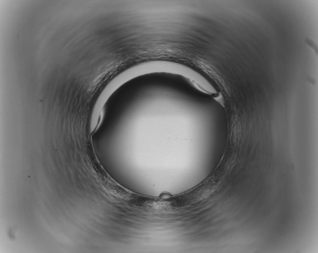 X0000099960501200806131513