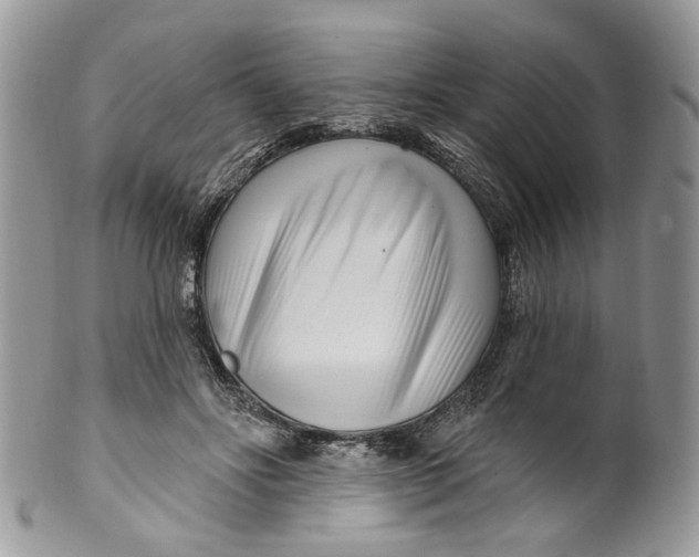 X0000099960502200806131513