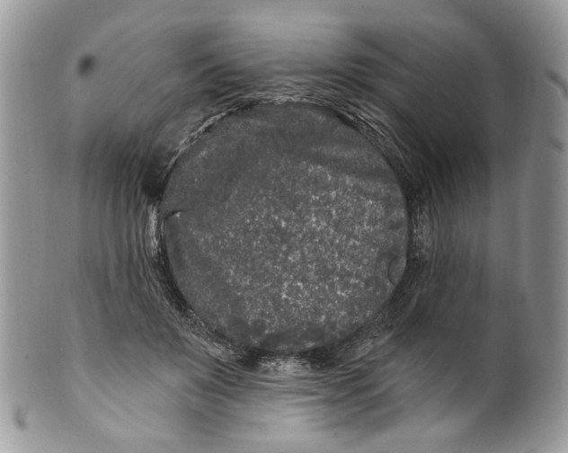 X0000099960503200806131513