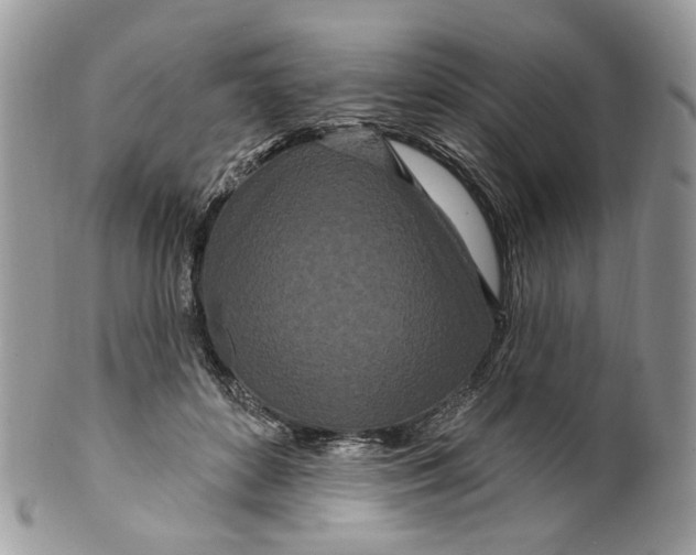 X0000099960504200806131513