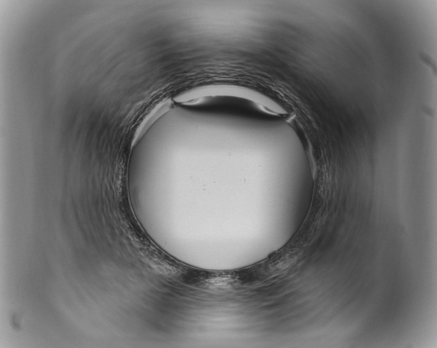 X0000099960505200806131513