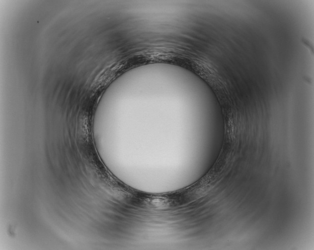 X0000099960506200806131513