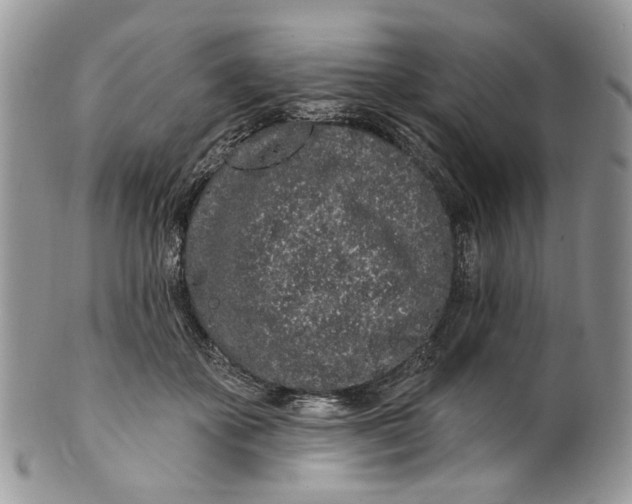 X0000099960507200806131513