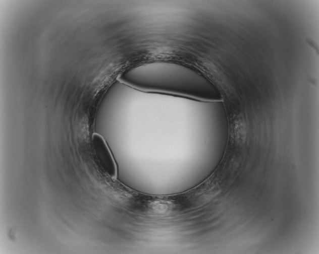 X0000099960508200806131513