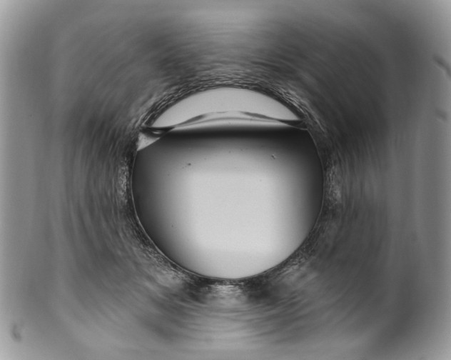 X0000099960509200806131513