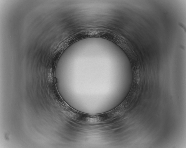 X0000099960510200806131513