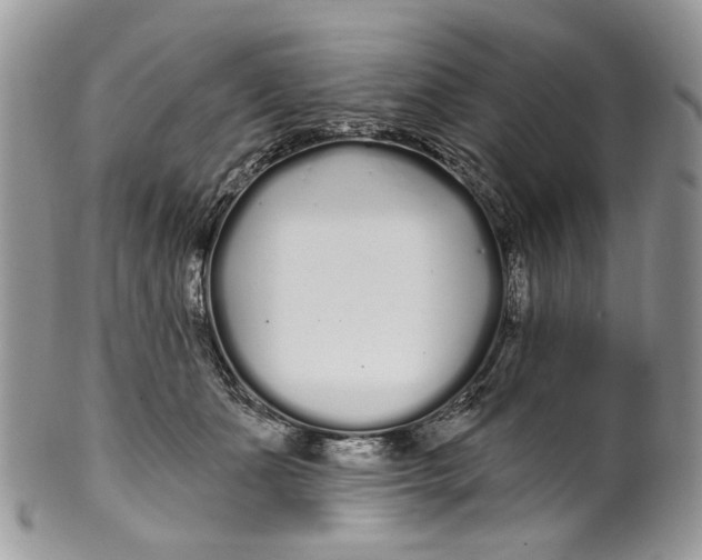 X0000099960511200806131513