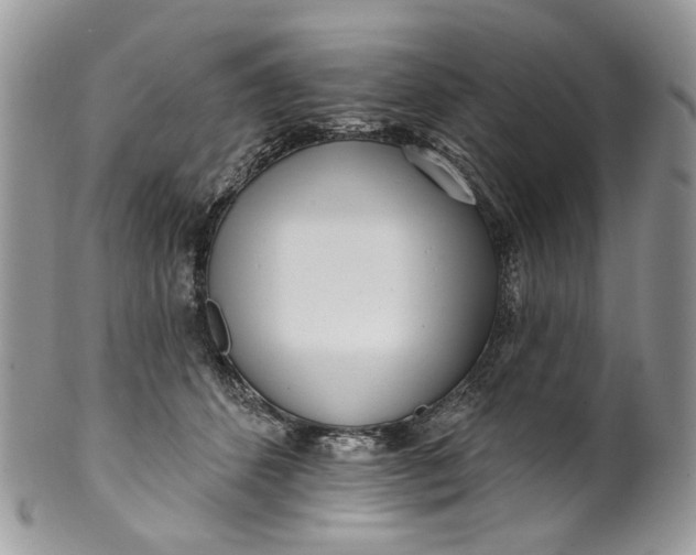 X0000099960512200806131513