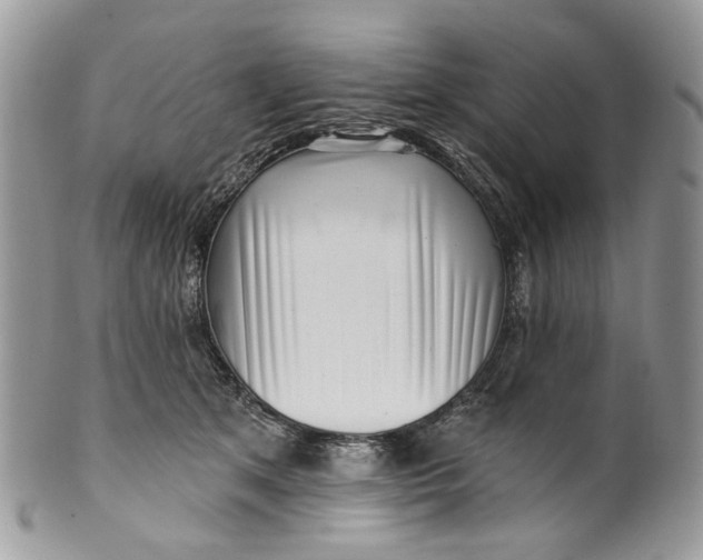 X0000099960513200806131513