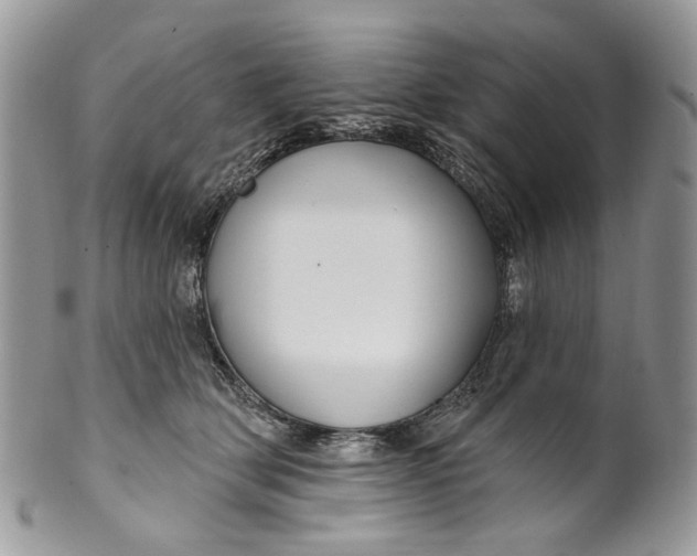 X0000099960514200806131513