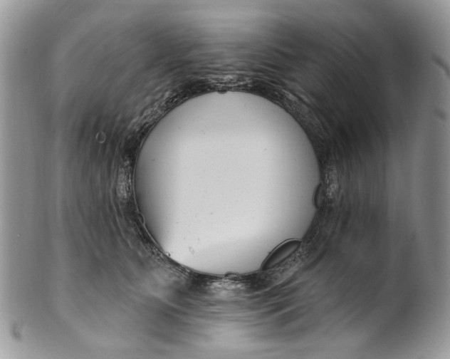 X0000099960515200806131513