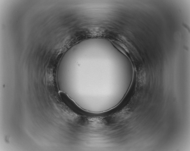 X0000099960516200806131513