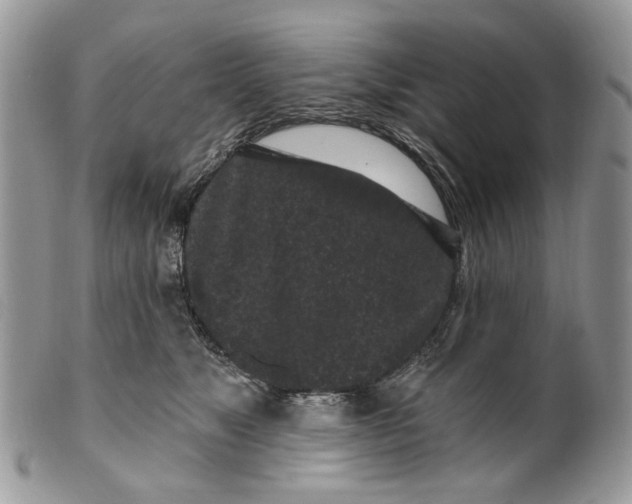 X0000099960517200806131513