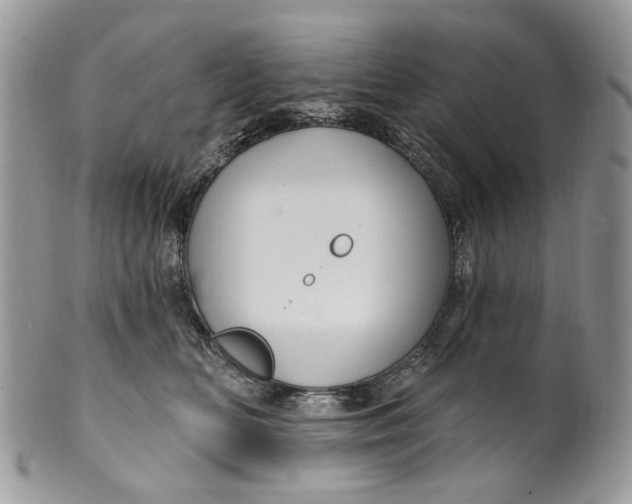 X0000099960518200806131513