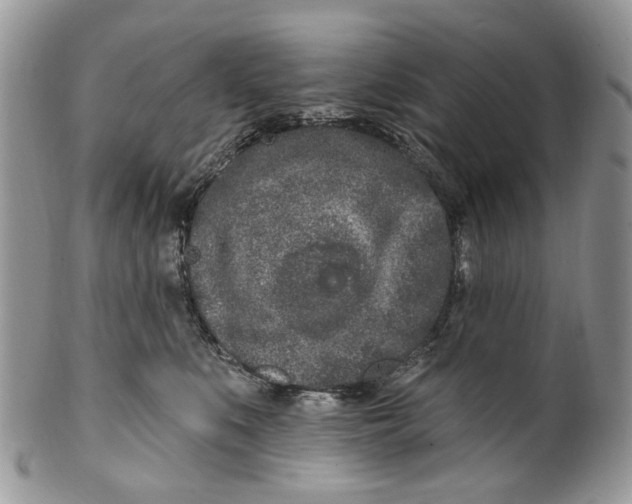 X0000099960519200806131513