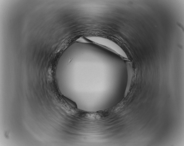 X0000099960520200806131513