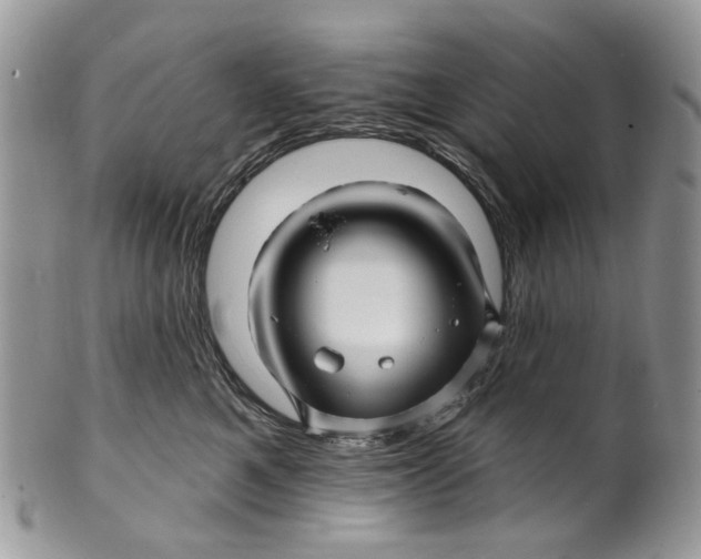 X0000099960521200806131513