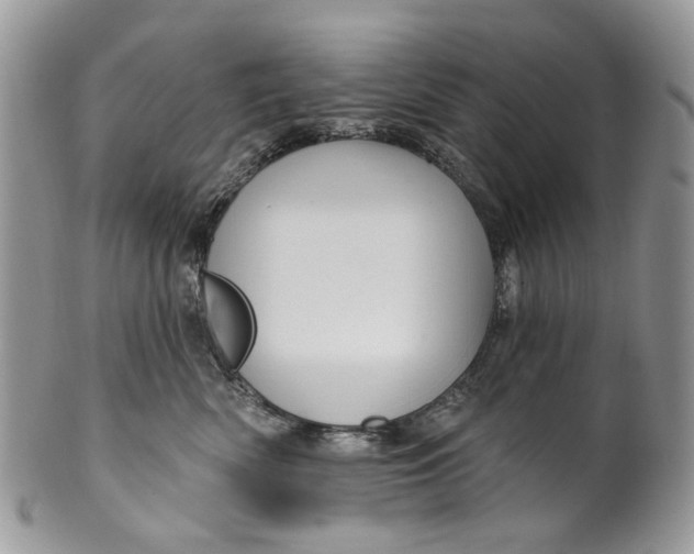 X0000099960522200806131513