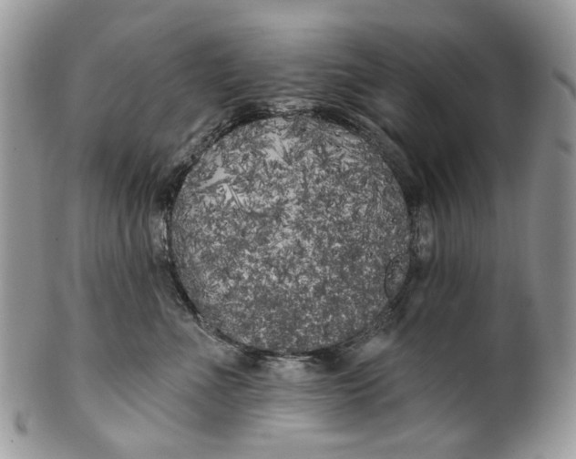 X0000099960523200806131513