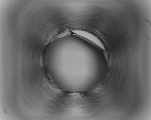 X0000099960524200806131513