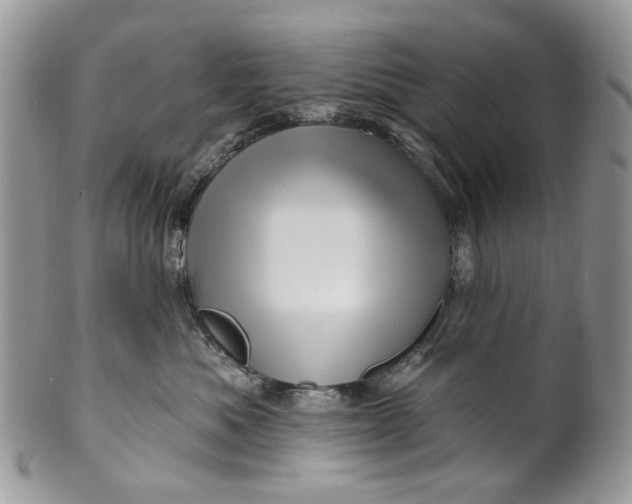 X0000099960525200806131513