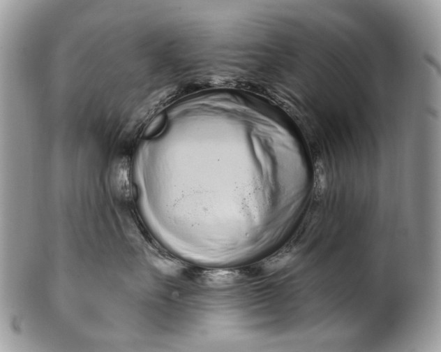 X0000099960527200806131513