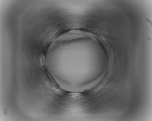 X0000099960528200806131513