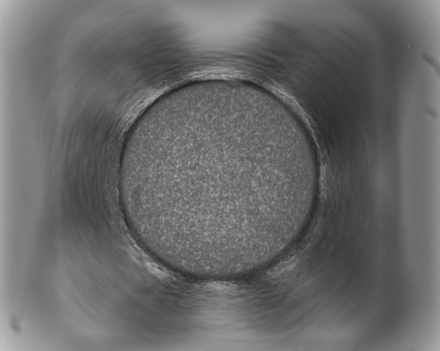 X0000099960529200806131512