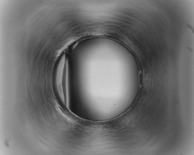 X0000099960530200806131512