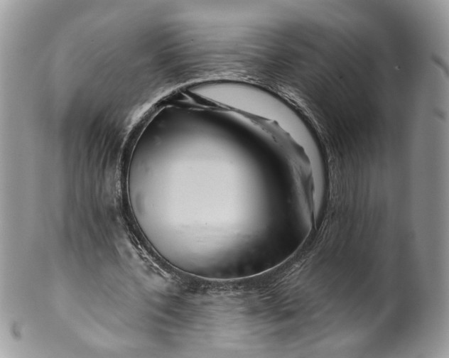 X0000099960532200806131512