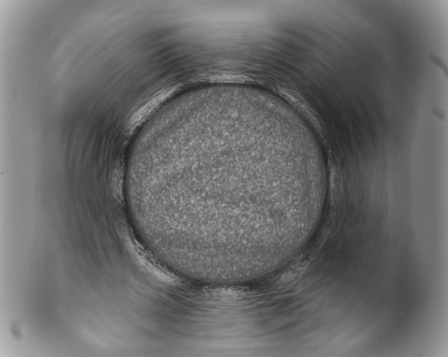 X0000099960533200806131512