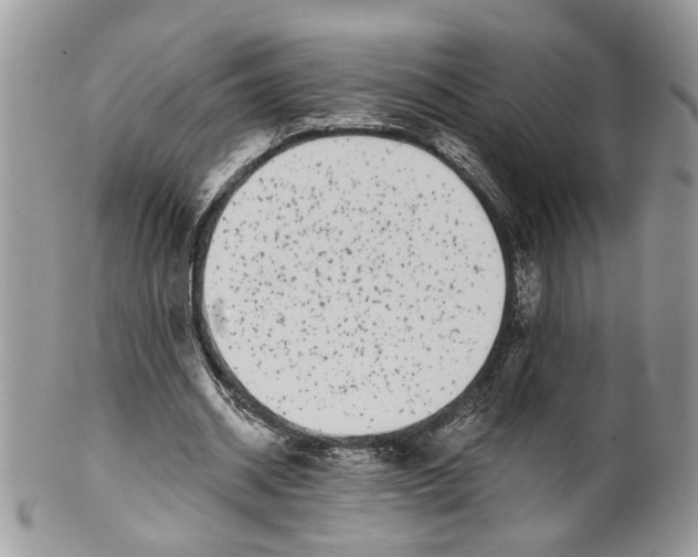 X0000099960534200806131512