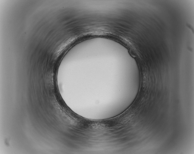 X0000099960535200806131512