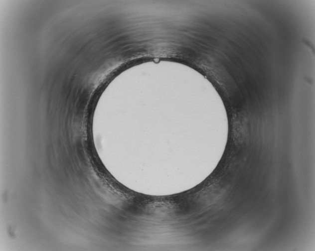 X0000099960536200806131512