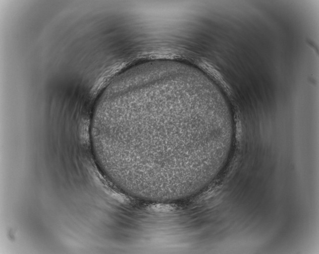 X0000099960537200806131512