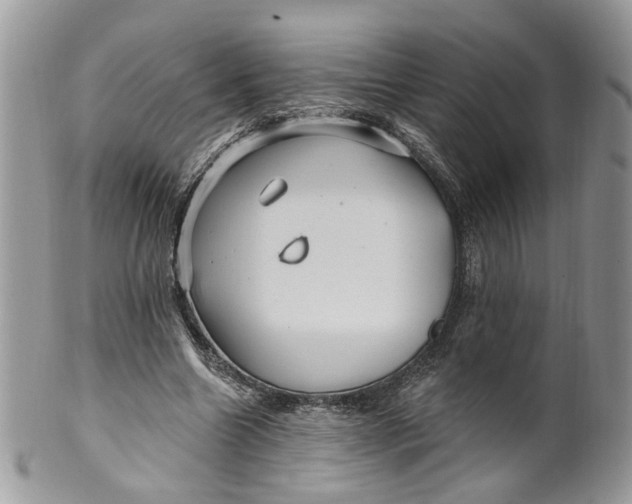 X0000099960538200806131512