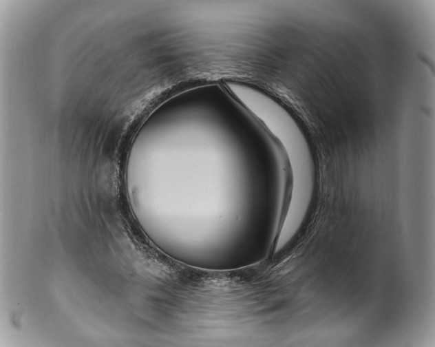 X0000099960540200806131512