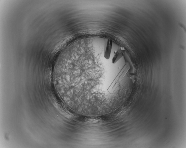 X0000099960542200806131512