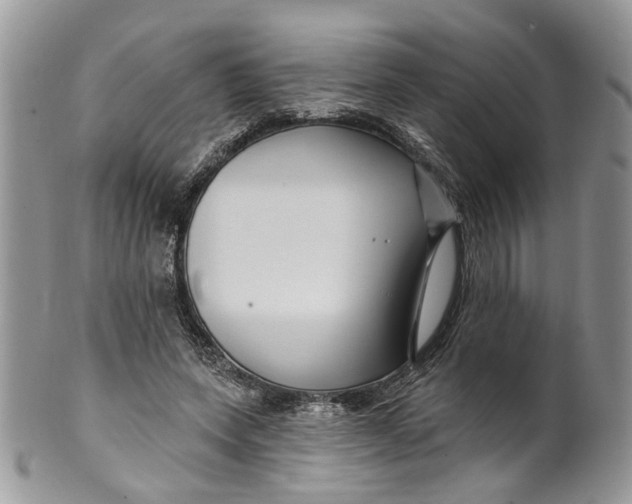 X0000099960543200806131512