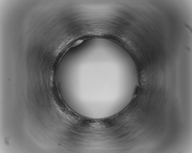 X0000099960544200806131512