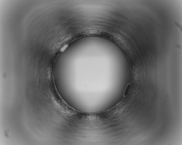 X0000099960546200806131512