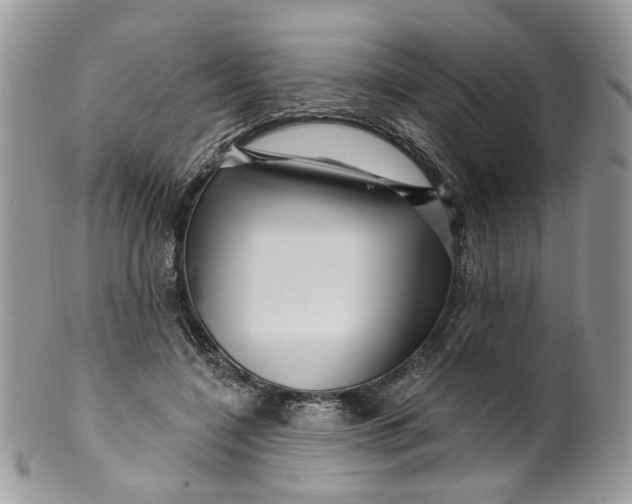 X0000099960548200806131512