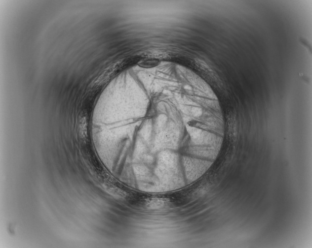 X0000099960549200806131512