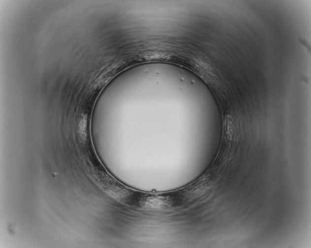 X0000099960550200806131512