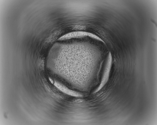 X0000099960551200806131512