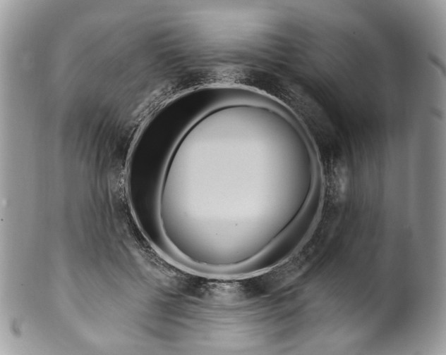 X0000099960552200806131512