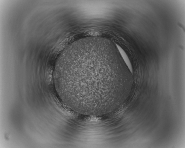 X0000099960553200806131512