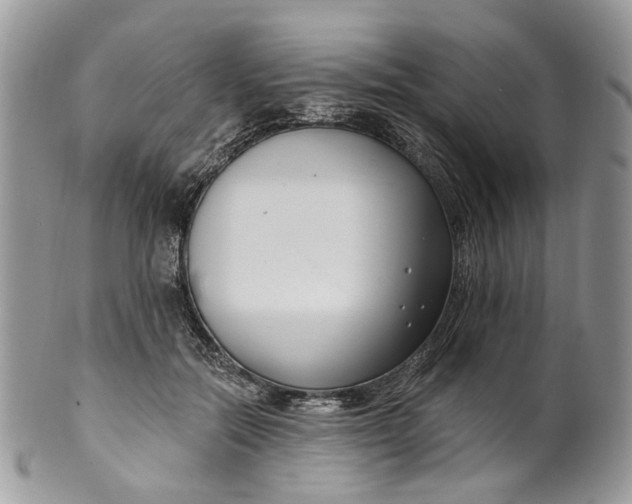 X0000099960554200806131512