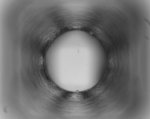 X0000099960555200806131512