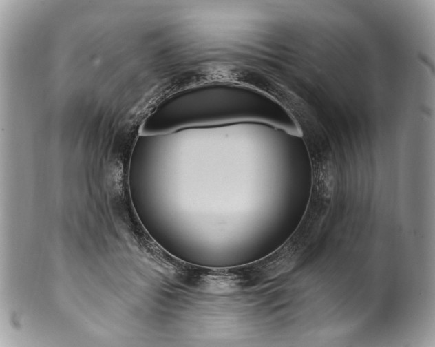 X0000099960556200806131512